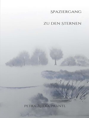 cover image of Spaziergang zu den Sternen